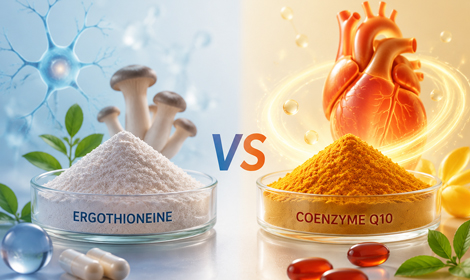Ergothioneine vs CoQ10: Comparing Longevity Ingredients